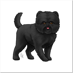 Dog - Affenpinscher - Black Posters and Art